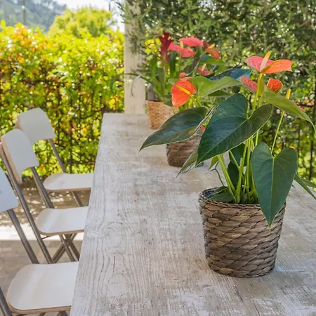 Aloe - Luisa: Pace E Relax A 2 Passi Dal Mare Apartament Casarza Ligure