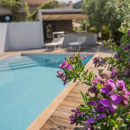 Aloe - Luisa: Pace E Relax A 2 Passi Dal Mare