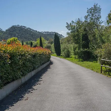 Aloe - Luisa: Pace E Relax A 2 Passi Dal Mare Appartement *