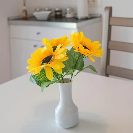 Aloe - Luisa: Pace E Relax A 2 Passi Dal Mare Casarza Ligure