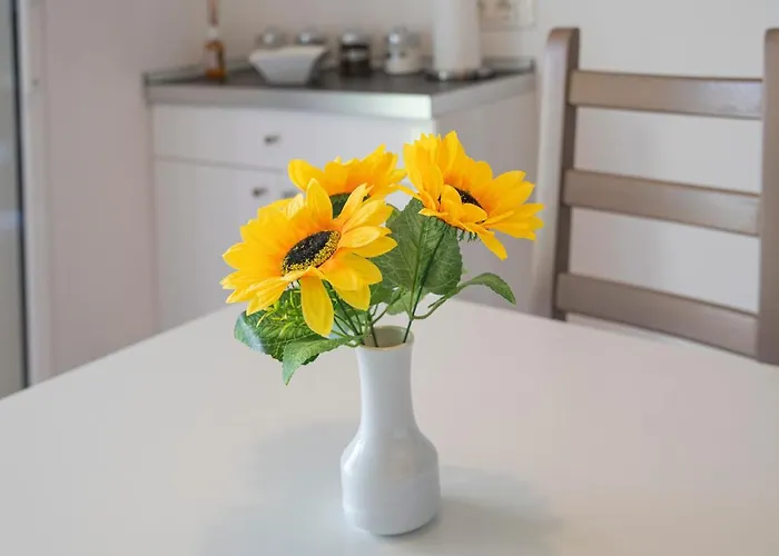 Aloe - Luisa: Pace E Relax A 2 Passi Dal Mare Casarza Ligure