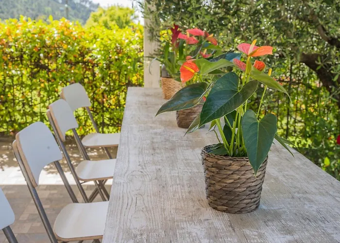 Aloe - Luisa: Pace E Relax A 2 Passi Dal Mare Appartement Casarza Ligure